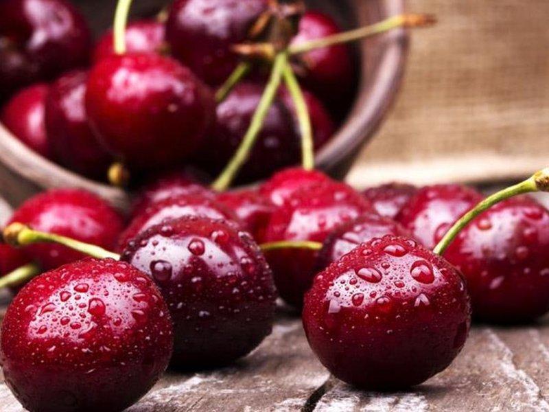 Вишня купить саженцы из питомника в Сарове